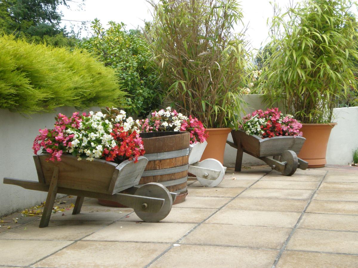 Shamrock Garden B&B Airport Christchurch Bagian luar foto