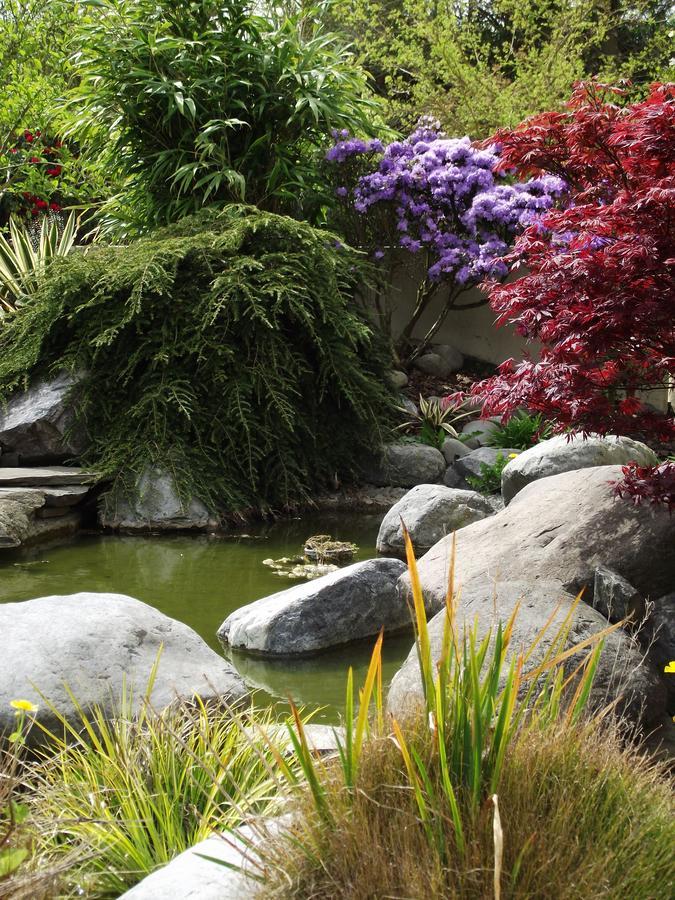 Shamrock Garden B&B Airport Christchurch Bagian luar foto