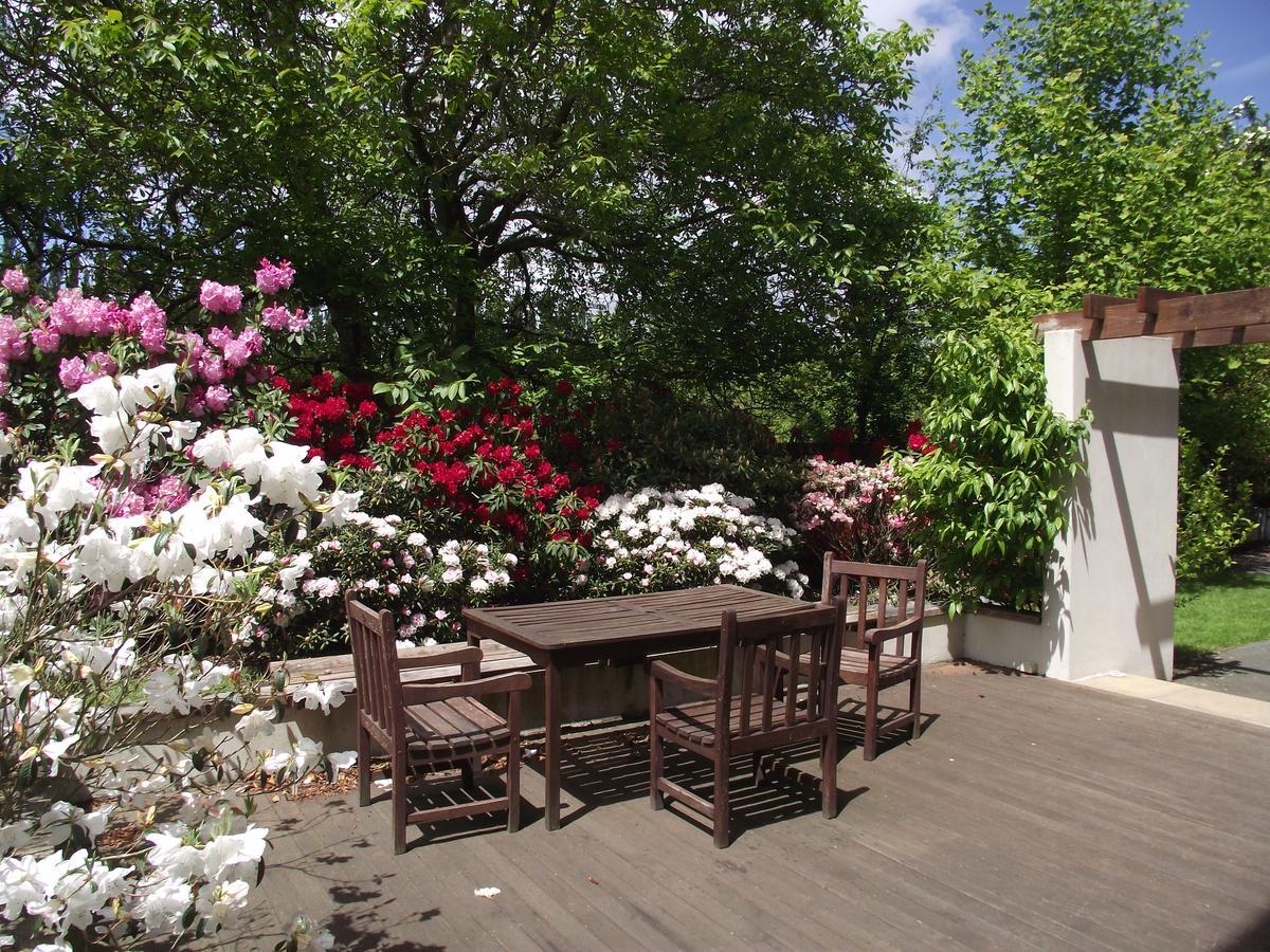 Shamrock Garden B&B Airport Christchurch Bagian luar foto
