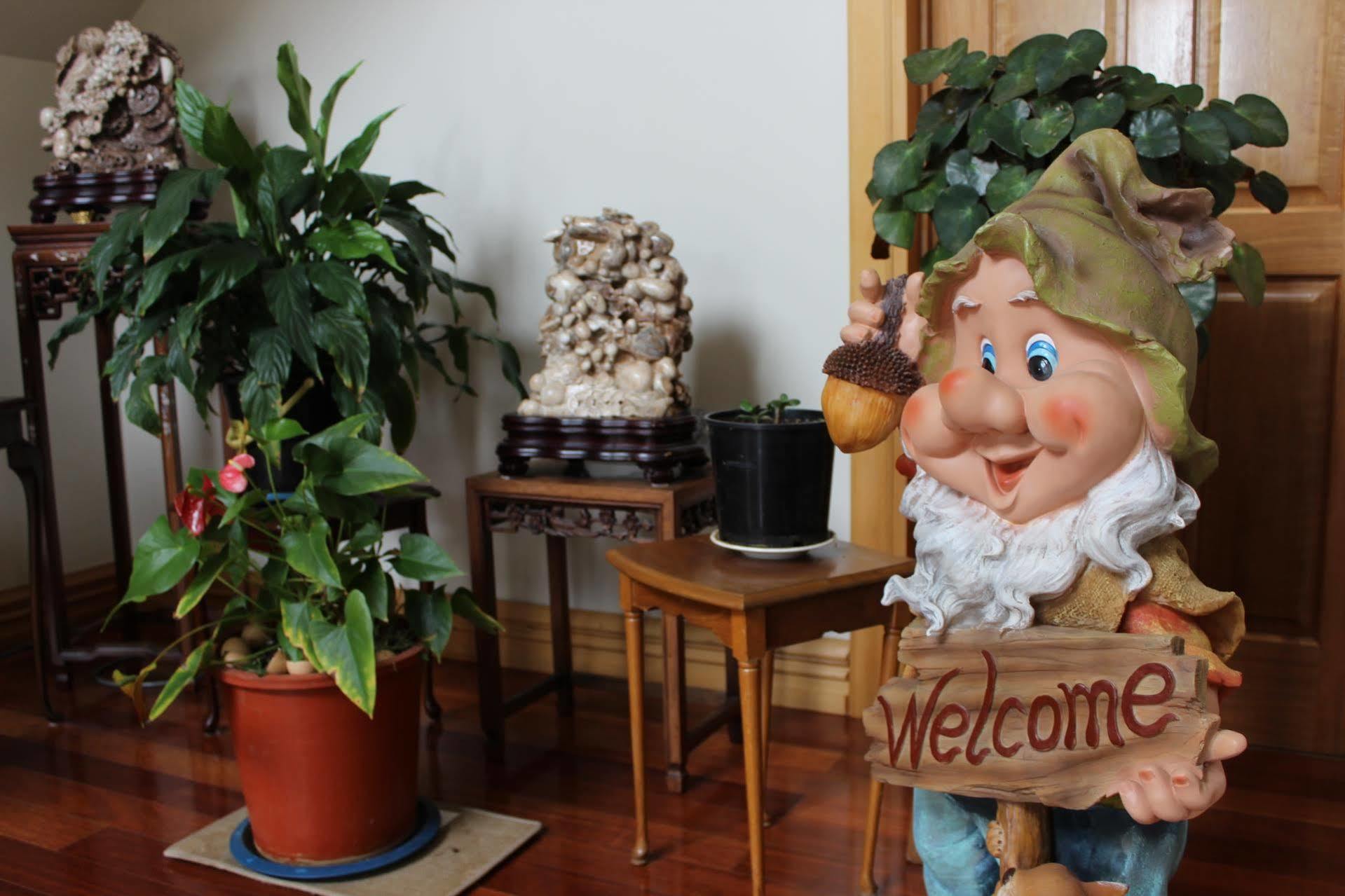 Shamrock Garden B&B Airport Christchurch Bagian luar foto